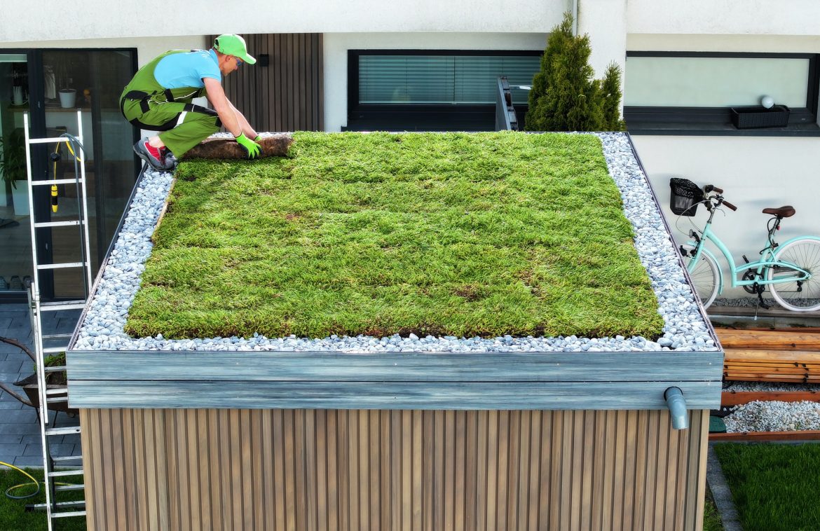 Les toits verts : Esthétique, écologie et installation