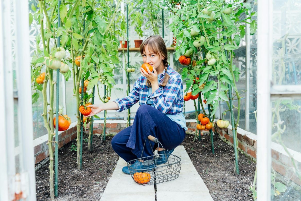 Tuteur tomate et plante grimpante : quelle est son utilité ?